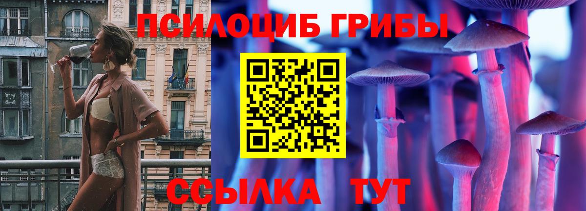 Псилоцибиновые грибы ЛСД Великий Устюг